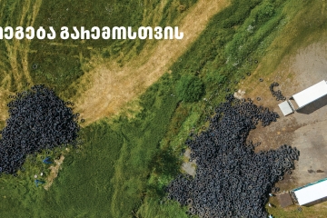 „თეგეტა მოტორსი“ გარემოსთვის - დაბა ბაკურიანი საავტომობილო ნარჩენებისგან გაწმენდილია