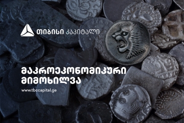 საგადასახდელო ბალანსის მიმოხილვა