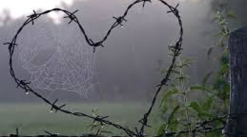 "საქართველოს სახელმწიფო საზღვრის ჯგუფურად უკანონო გადაკვეთის ბრალდებით 3 პირი დააკავეს"