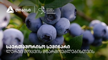 თიბისის მხარდაჭერით, ლურჯი მოცვის მწარმოებლებისთვის საერთაშორისო სემინარი გაიმართა