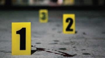 "ბლაგვი საგნის გამოყენებით, განსაკუთრებული სისასტიკით გაუსწორდა 1932 წელს დაბადებულ მ.კ.-ს."