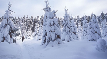 "...ზვავსაშიშროების საფრთხის დონე მაღალია"
