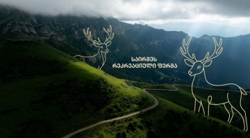 „საირმეს რეკრეაციული ფერმა“ – 1 წელში ინვესტირებული 900 000 ლარი და სამომავლო გეგმები