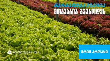 „გრინ კროპს დისტრიბუშენი” - სასათბურე მეურნეობა, რომელიც თიბისი ბიზნესის მხარდაჭერით განვითარდა