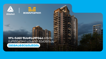 თიბისის და მეტროპოლის სპეციალური შეთავაზება ემიგრანტებისთვის