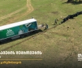 20 ტონამდე მეორადი საბურავი - „თეგეტა გრინ პლანეტმა“ ტაბახმელა საავტომობილო ნარჩენებისგან გაწმინდა