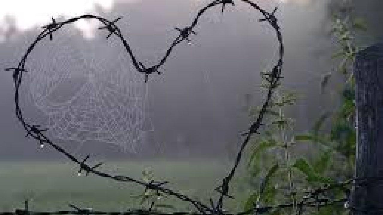 "საქართველოს სახელმწიფო საზღვრის ჯგუფურად უკანონო გადაკვეთის ბრალდებით 3 პირი დააკავეს"