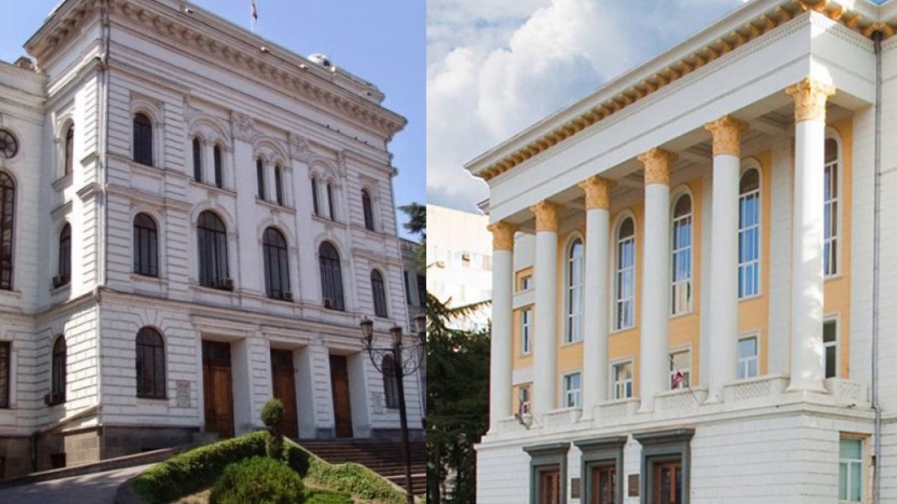 "გაერთიანება გამოიწვევს მმართველობით სირთულეებს საკმაოდ გრძელვადიან პირობებში, რაც პირდაპირ გავლენას მოახდენს განათლების ხარისხზე"