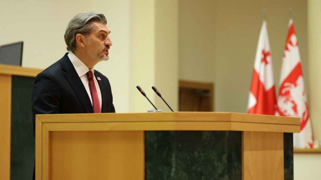 "ეს ჭარბწონიანობა, ეს შედეგი, რომელიც ამ მავნე ხელისუფლებამ ჩაიდინა, სწორედ ეს შედეგი იყო, რაც მოიტანა მათმა პოლიტიკამ"