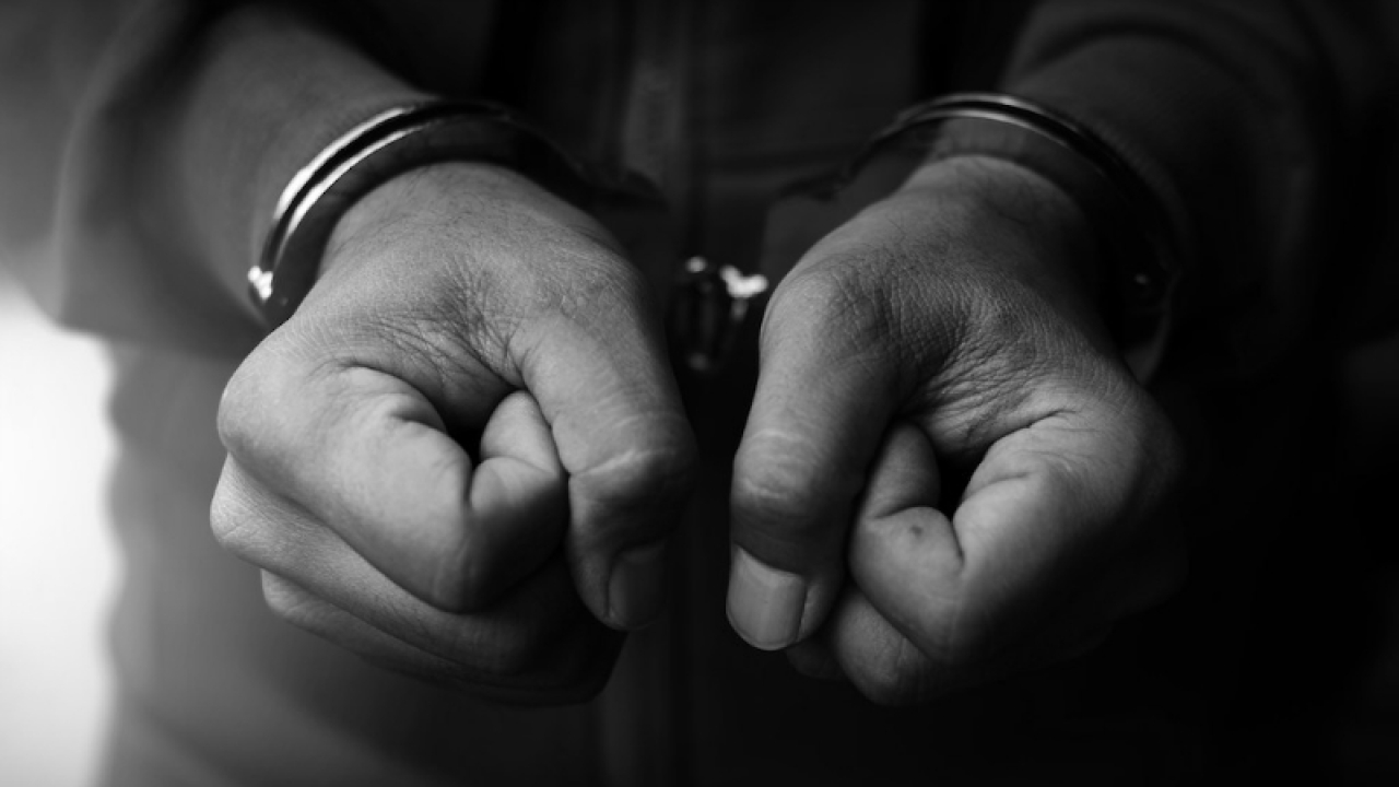 "დიდი ოდენობით თანხის მითვისების ბრალდებით, 1976 წელს დაბადებული შ.ფ. სარფში დააკავეს" - შსს