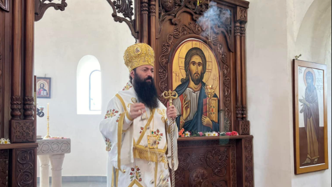 "ამას მივიჩნევ, როგორც ერთგვარ ზეწოლას და სუბიექტური აზრების თავს მოხვევას სინოდის წევრებზე"