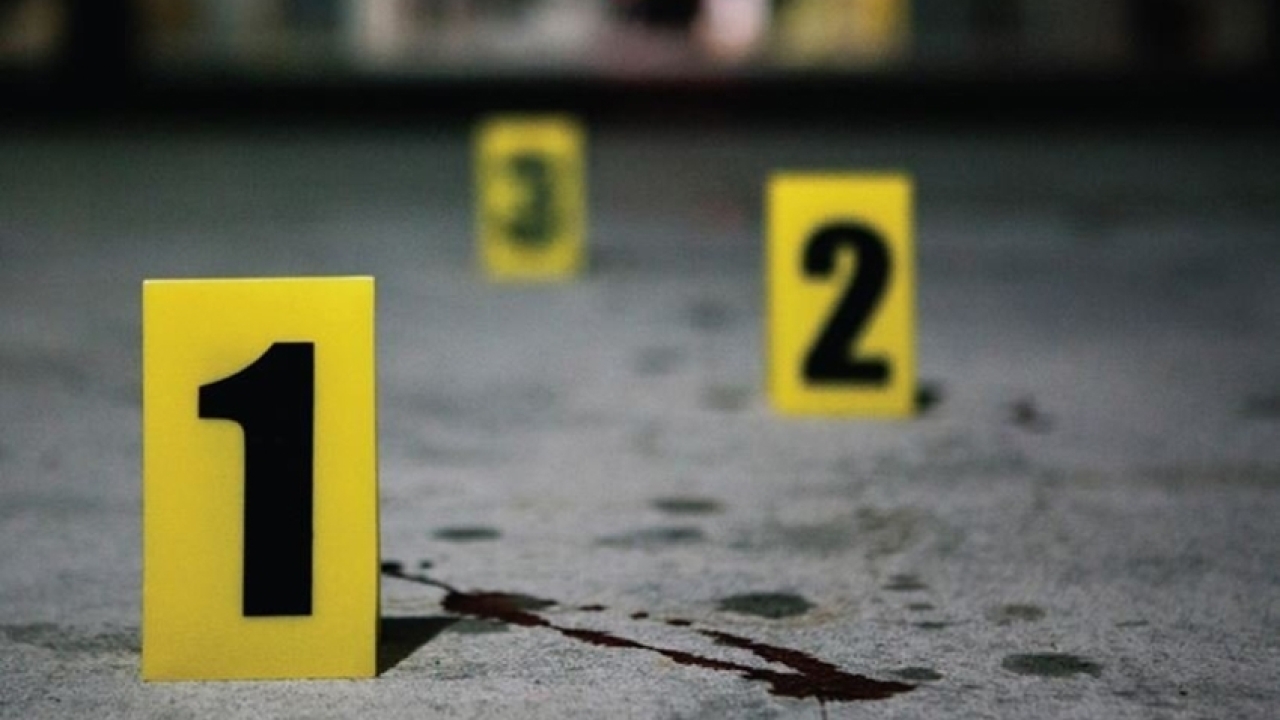 "ბლაგვი საგნის გამოყენებით, განსაკუთრებული სისასტიკით გაუსწორდა 1932 წელს დაბადებულ მ.კ.-ს."