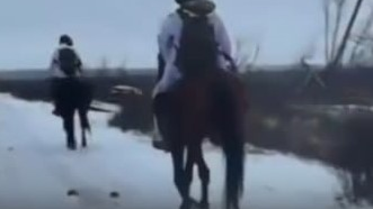 "საწვავის დეფიციტის გამო, რუსები ცხენებით გადაადგილდებიან“ - უკრაინული მედია