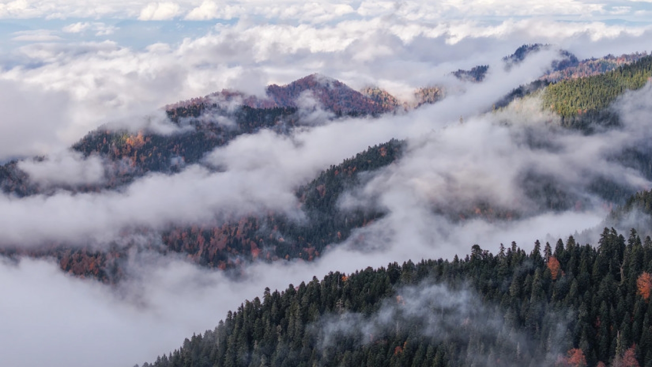 „საირმეს რეკრეაციული ფერმა“ ნიკა ლებანიძის ობიექტივში