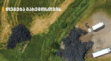 „თეგეტა მოტორსი“ გარემოსთვის - დაბა ბაკურიანი საავტომობილო ნარჩენებისგან გაწმენდილია