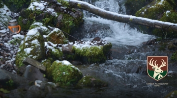საირმეში დათევზიანების მეორე ეტაპი დასრულდა - მდინარე წაბლარასწყალში წითელწინწკლებიანი კალმახის ქვირითი გაუშვეს