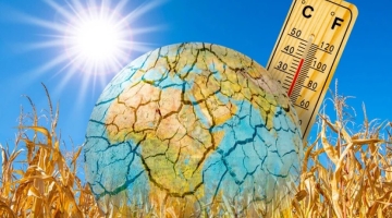 დაავადებათა კონტროლის ცენტრის რეკომენდაციები მაღალი ტემპერატურის დროს