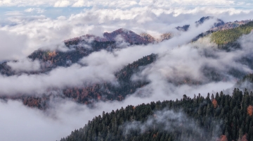 „საირმეს რეკრეაციული ფერმა“ ნიკა ლებანიძის ობიექტივში