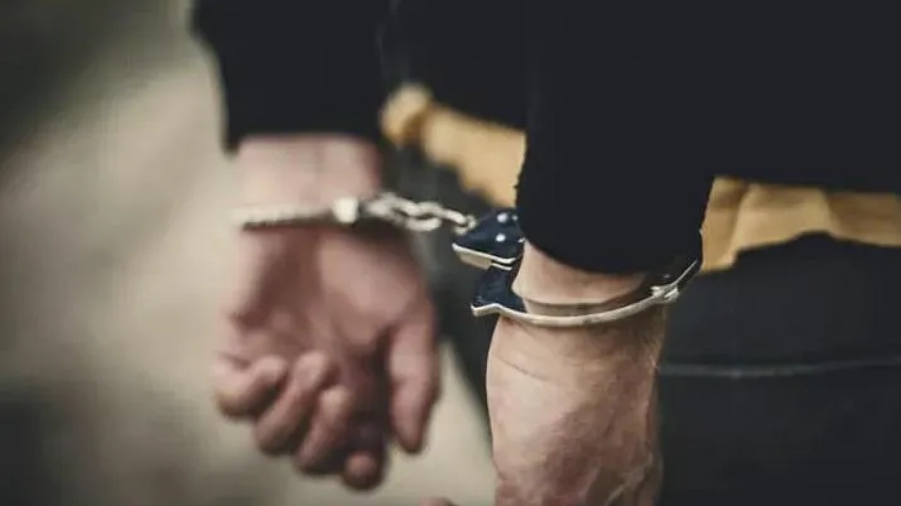 "დანაშაული 20 წლამდე ან უვადო თავისუფლების აღკვეთას ითვალისწინებს"