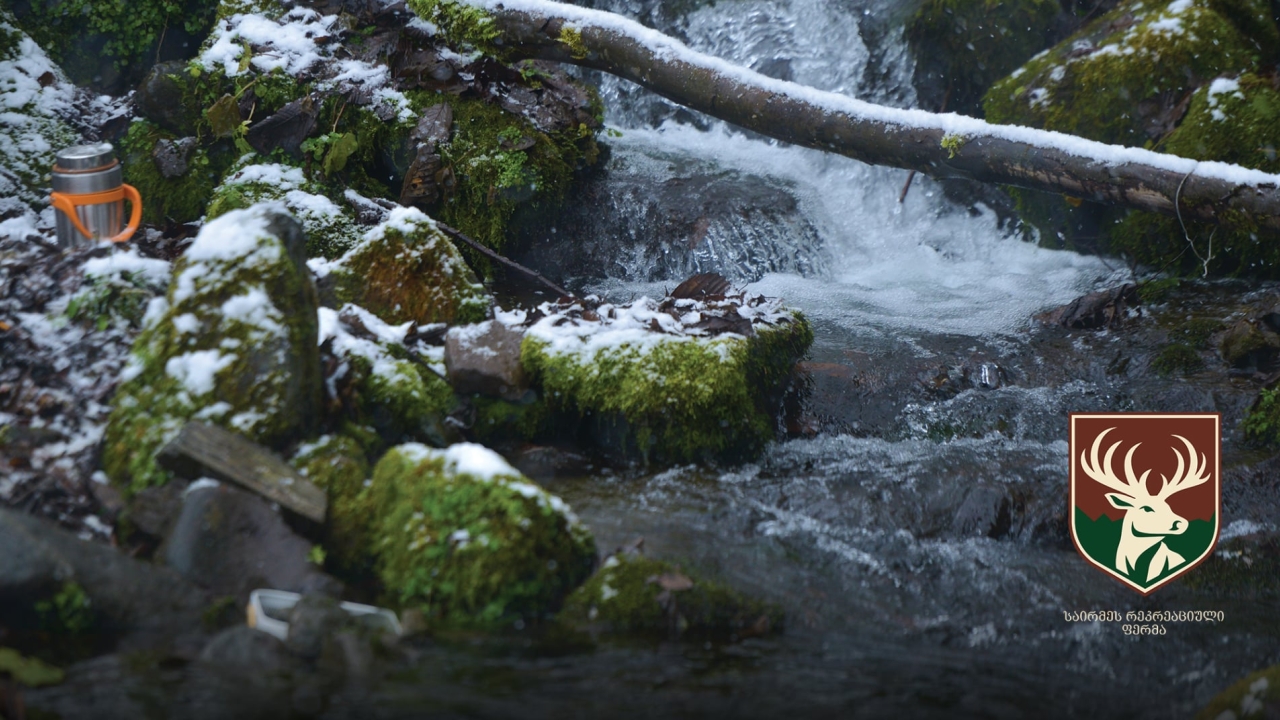 საირმეში დათევზიანების მეორე ეტაპი დასრულდა - მდინარე წაბლარასწყალში წითელწინწკლებიანი კალმახის ქვირითი გაუშვეს