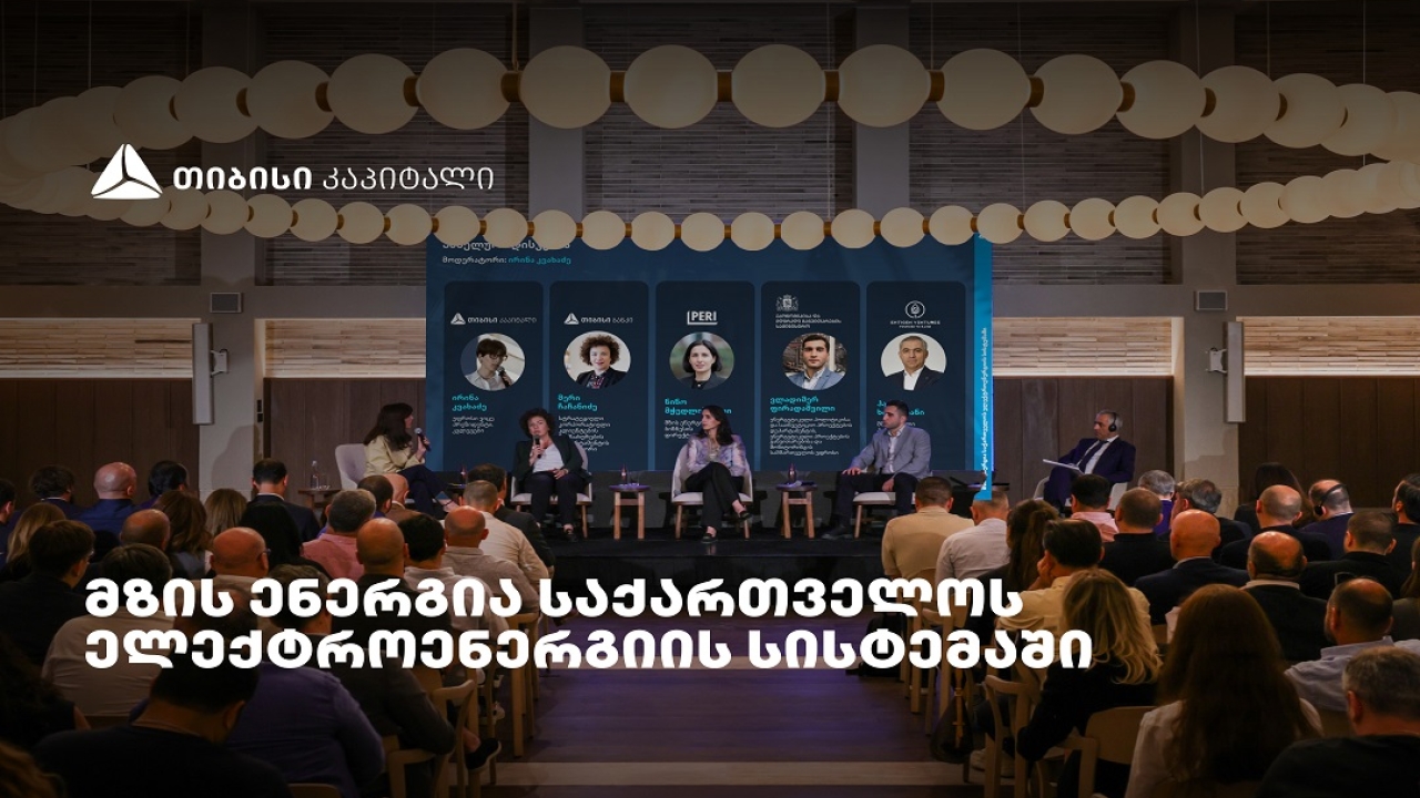 „მზის ენერგია საქართველოს ელექტროენერგიის სისტემაში" - თიბისი კაპიტალმა ახალი კვლევა წარადგინა