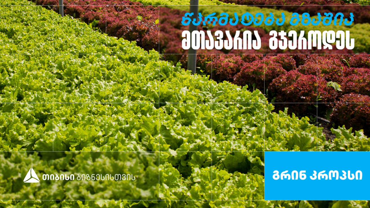 „გრინ კროპს დისტრიბუშენი” - სასათბურე მეურნეობა, რომელიც თიბისი ბიზნესის მხარდაჭერით განვითარდა