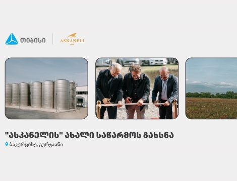 თიბისის მხარდაჭერით, ბაკურციხეში “ასკანელის” ქარხანა გაიხსნა