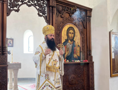 "ამას მივიჩნევ, როგორც ერთგვარ ზეწოლას და სუბიექტური აზრების თავს მოხვევას სინოდის წევრებზე"