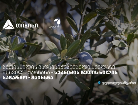 თიბისის მხარდაჭერით, დედოფლისწყაროში „სვანიძის ზეთისხილის“ საწარმო გაიხსნა