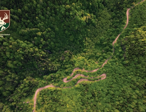 „საირმეს რეკრეაციულ ფერმაში“ ეკოგანათლების პროექტი იწყება: პრაქტიკაზე დაფუძნებული სწავლება და სახალისო აქტივობები