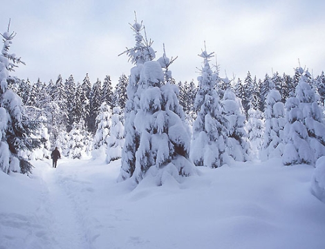 "...ზვავსაშიშროების საფრთხის დონე მაღალია"