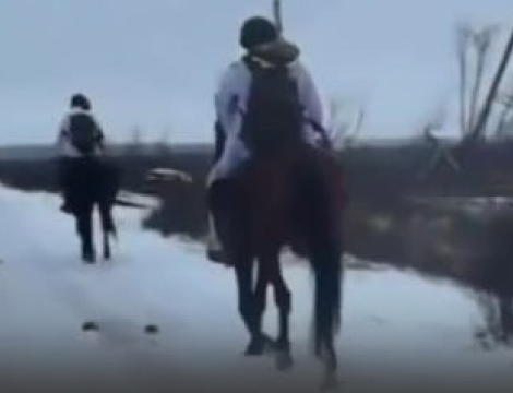 "საწვავის დეფიციტის გამო, რუსები ცხენებით გადაადგილდებიან“ - უკრაინული მედია