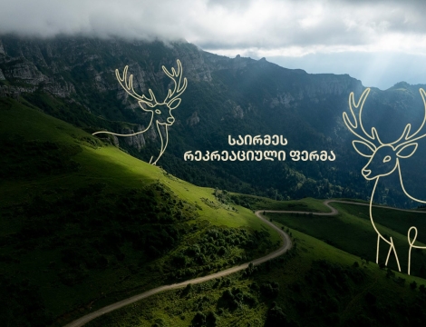 „საირმეს რეკრეაციული ფერმა“ – 1 წელში ინვესტირებული 900 000 ლარი და სამომავლო გეგმები