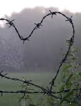 "საქართველოს სახელმწიფო საზღვრის ჯგუფურად უკანონო გადაკვეთის ბრალდებით 3 პირი დააკავეს"