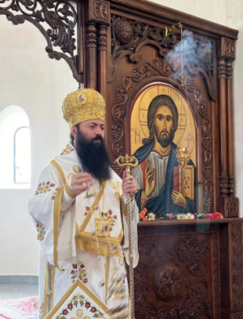 "ამას მივიჩნევ, როგორც ერთგვარ ზეწოლას და სუბიექტური აზრების თავს მოხვევას სინოდის წევრებზე"