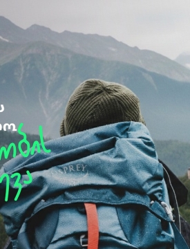 “ვაიზერი” საქართველოში შემოსულ ვიზიტორებს სავალდებულო დაზღვევის მარტივ, სწრაფ და ციფრულ სერვისს სთავაზობს