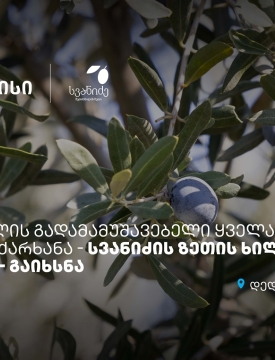 თიბისის მხარდაჭერით, დედოფლისწყაროში „სვანიძის ზეთისხილის“ საწარმო გაიხსნა