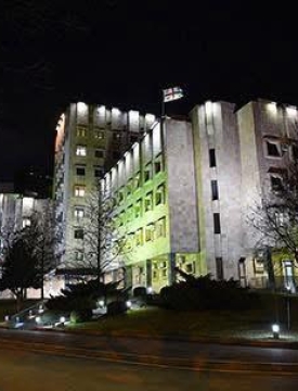 "ცეცხლსასროლი იარაღით ჭრილობები მიაყენა დაზარალებულს, რომელიც შემთხვევის ადგილზე გარდაიცვალა"