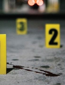 "ბლაგვი საგნის გამოყენებით, განსაკუთრებული სისასტიკით გაუსწორდა 1932 წელს დაბადებულ მ.კ.-ს."