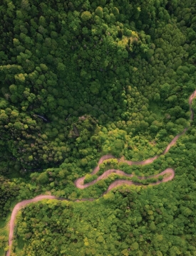 „საირმეს რეკრეაციულ ფერმაში“ ეკოგანათლების პროექტი იწყება: პრაქტიკაზე დაფუძნებული სწავლება და სახალისო აქტივობები