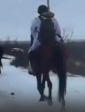 "საწვავის დეფიციტის გამო, რუსები ცხენებით გადაადგილდებიან“ - უკრაინული მედია