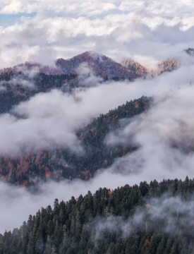 „საირმეს რეკრეაციული ფერმა“ ნიკა ლებანიძის ობიექტივში