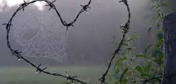 "საქართველოს სახელმწიფო საზღვრის ჯგუფურად უკანონო გადაკვეთის ბრალდებით 3 პირი დააკავეს"