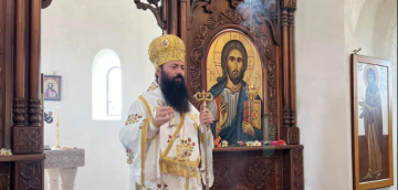 "ამას მივიჩნევ, როგორც ერთგვარ ზეწოლას და სუბიექტური აზრების თავს მოხვევას სინოდის წევრებზე"