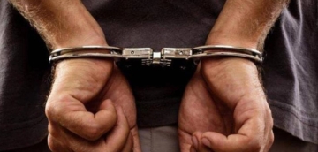 "გამოძიება სისხლის სამართლის კოდექსის 260-ე, 260-ე კვარტა და 273-ე მუხლებით მიმდინარეობს, რაც 20 წლამდე ან უვადო თავისუფლების აღკვეთას ითვალისწინებს“