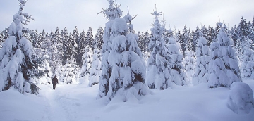 "...ზვავსაშიშროების საფრთხის დონე მაღალია"