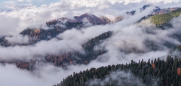 „საირმეს რეკრეაციული ფერმა“ ნიკა ლებანიძის ობიექტივში